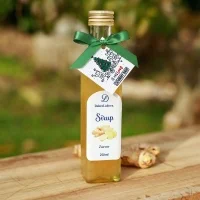 Zázvorový sirup — Dobroládovna — vánoční edice Vladimír Strejček