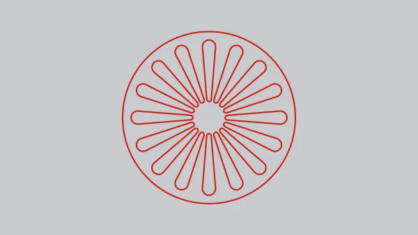 romska-poradkyne-thumb