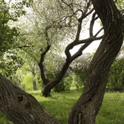 konference_zeleň_2019_thumb