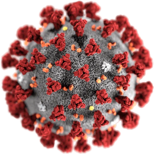SARS-CoV2-virion-e1582409571559