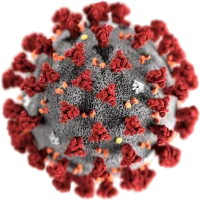 SARS-CoV2-virion-e1582409571559