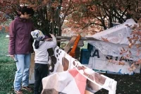 490652374 1109019497931819 6569380875076330053 n