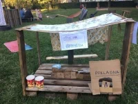 461127982 953238086843295 1036239170577109381 n