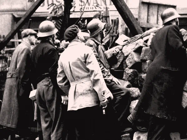 nezapominame-web-thumb