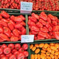 522598760 18352993456157463 7447551649798559099 n