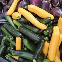 523913614 18352993438157463 6857201607372995710 n