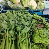 522630453 18352993447157463 7015194051857091679 n