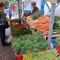 520394560 18352452064157463 5108520167382983006 n